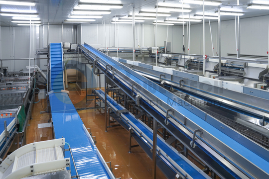 多功能全自动南美白去纹加工线