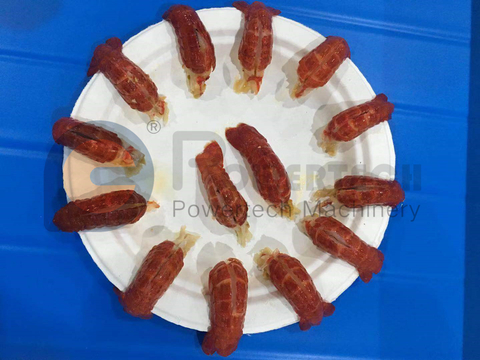 易于加工的紧凑型小龙虾背部去血管机