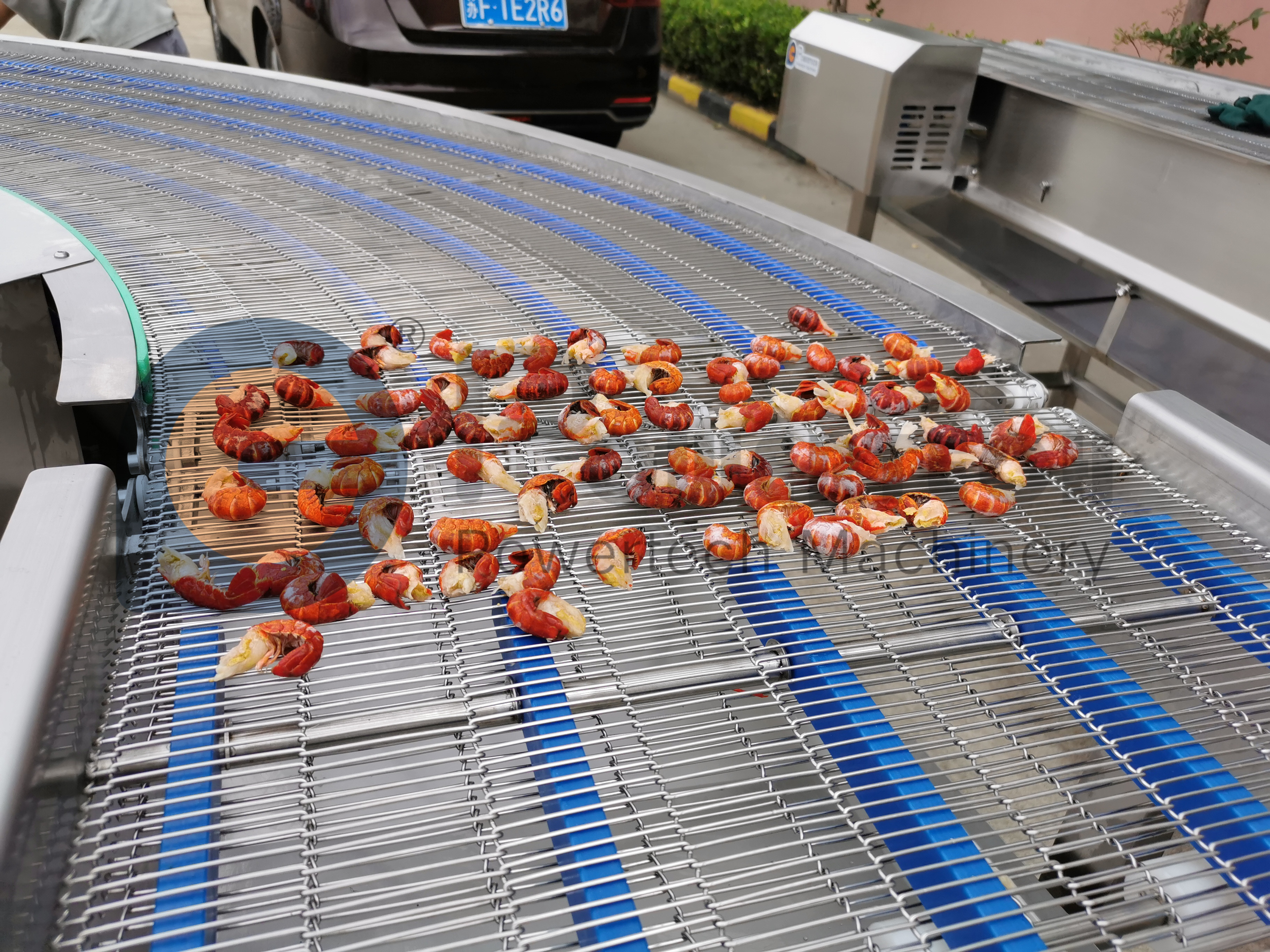 IMG_20200606_093755 (2)