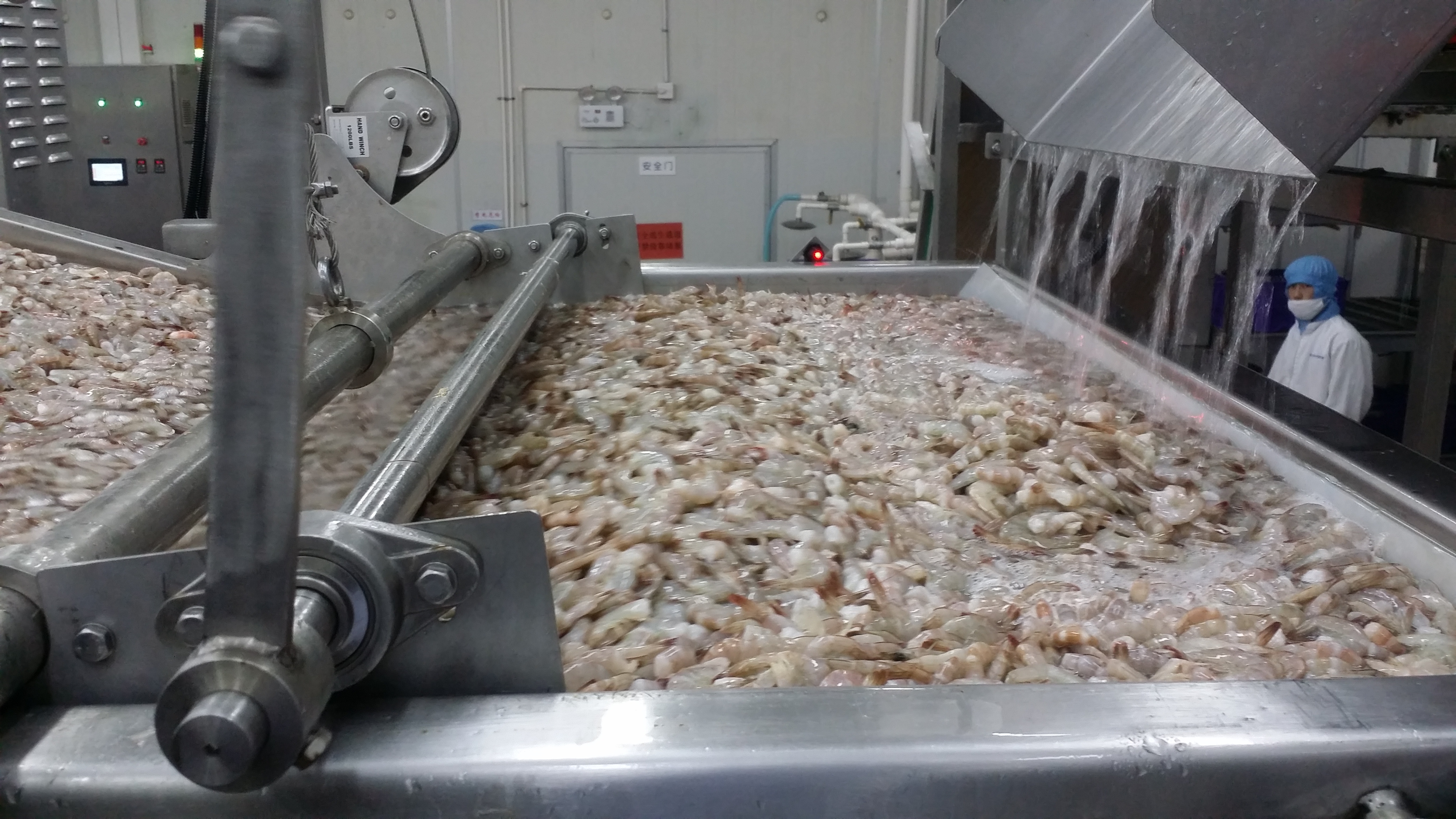 大容量瓦那美虾自动去皮生产线