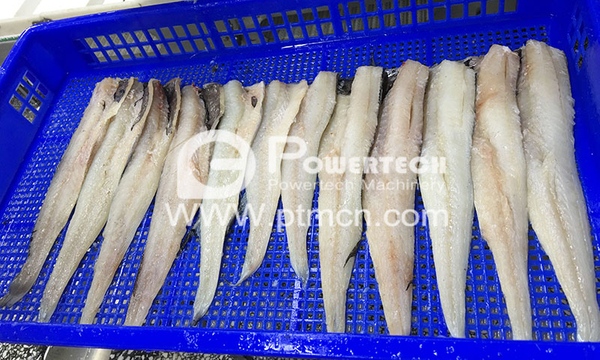 波洛克中央去骨自动鱼片机