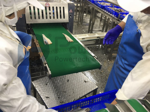 Pollock 自动鱼皮剥皮机