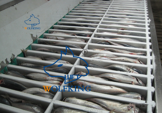 维修方便的立式平板冷冻机