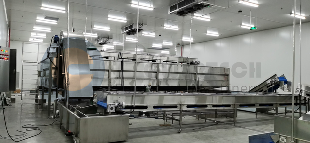 全自动鲶鱼整体解决方案线