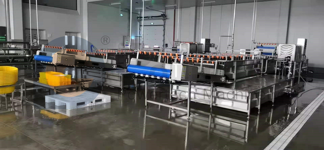 工业食品级鲶鱼加工线