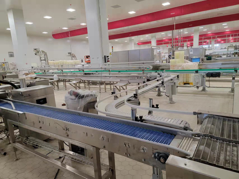 柔性多功能冰淇淋冷冻输送线