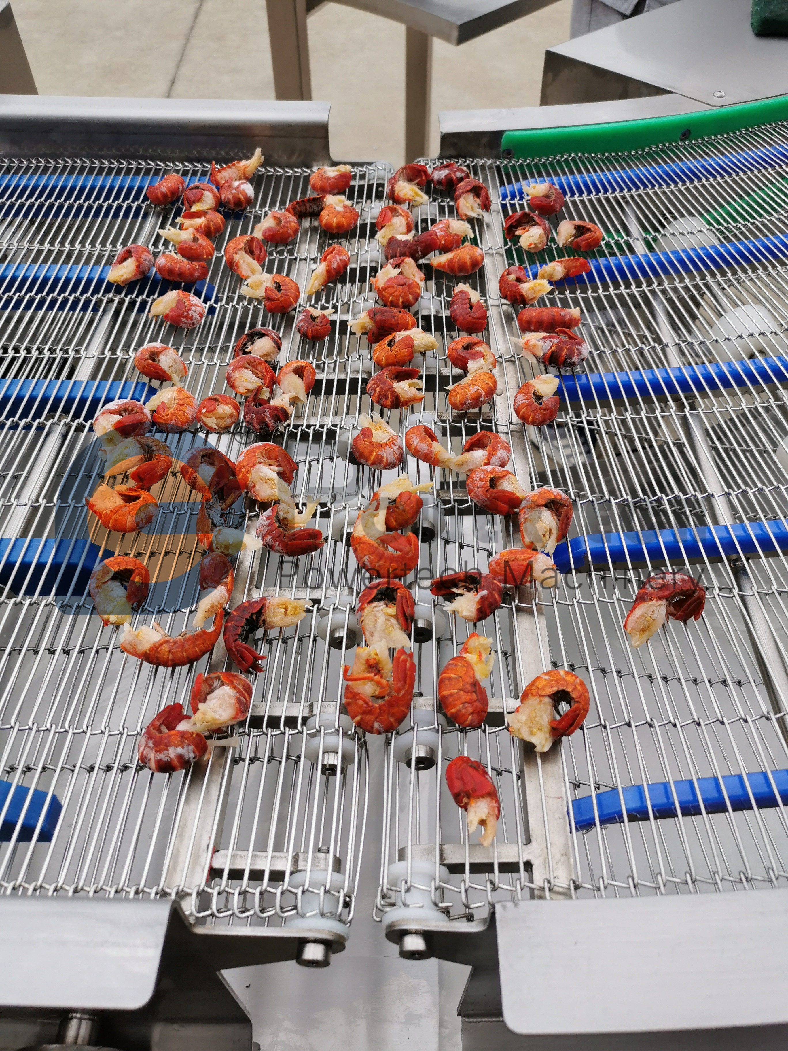 IMG_20200606_093727 (2)