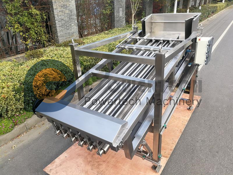 智能型自动鱼类分级机