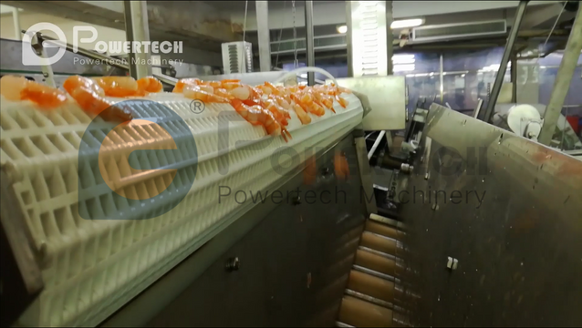 熟对虾自动去皮生产线