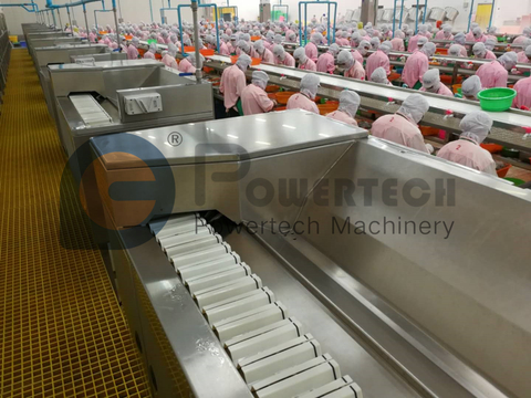 最低的运营成本和高利润的虾去皮去壳机