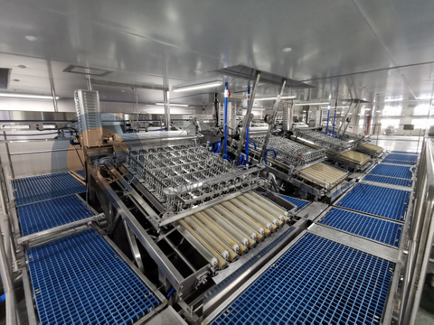 食品安全卫生自动虾去皮生产线