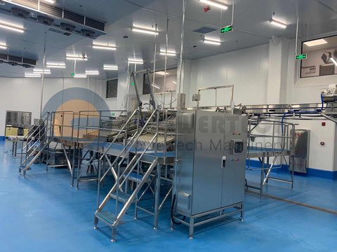 最低运营成本高利润自动虾去皮生产线