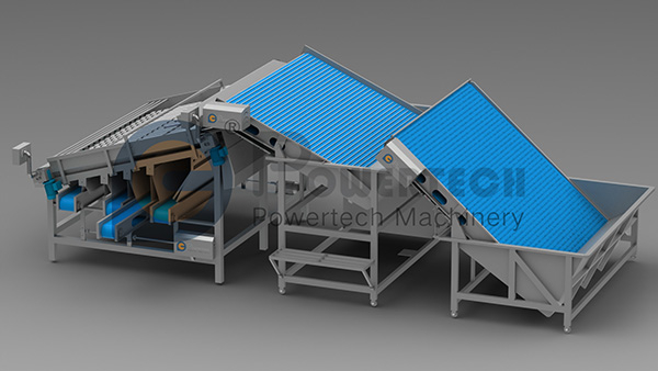 大容量自动虾分级机