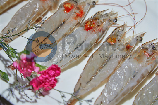 多功能稳定餐厅虾去皮去核机