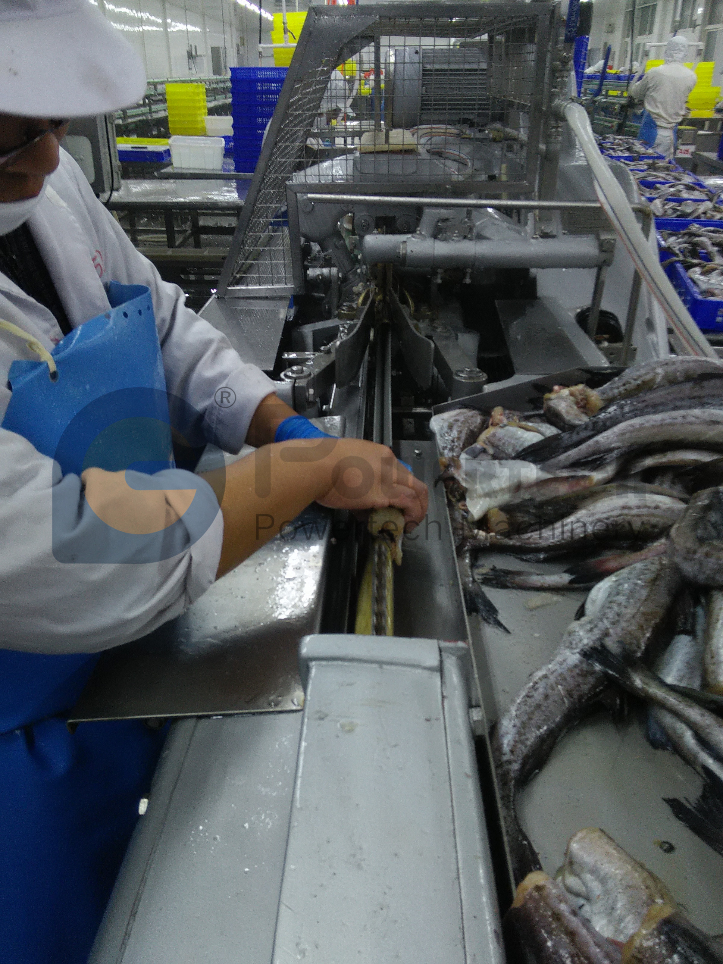 IMG20160523135454_副本