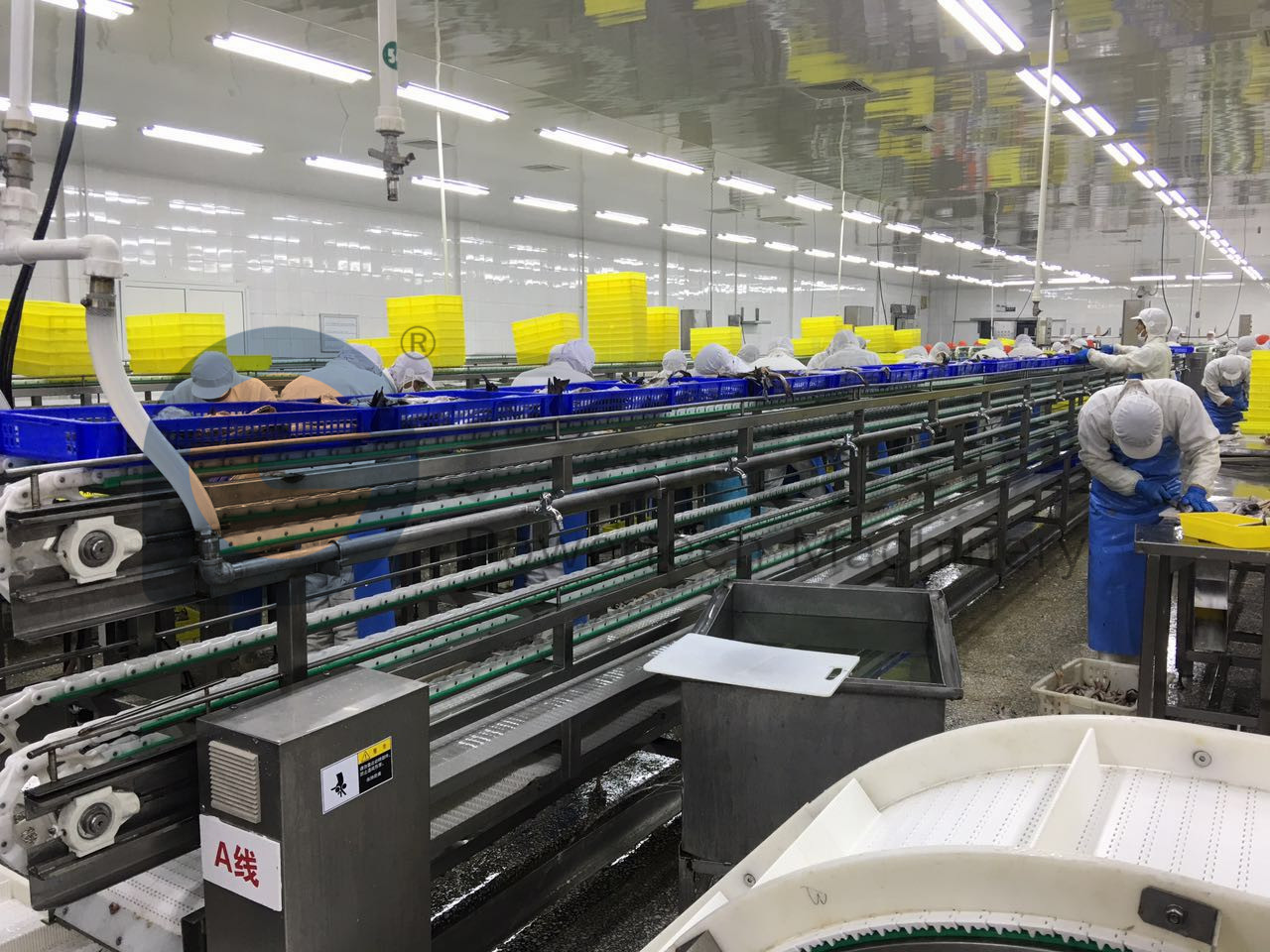 778706880982674133_副本