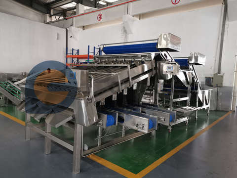 食品安全卫生对虾分级机