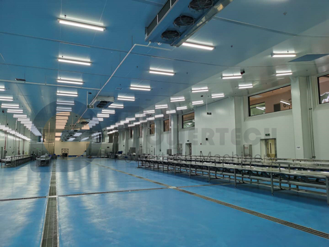 最低运营成本的鲶鱼自动加工线