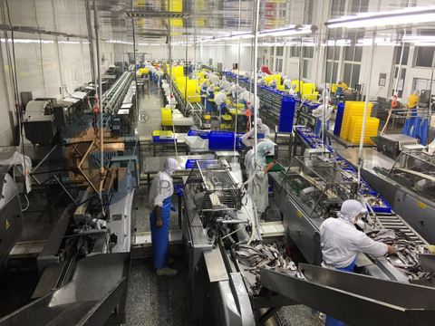 高利润自动鱼片机