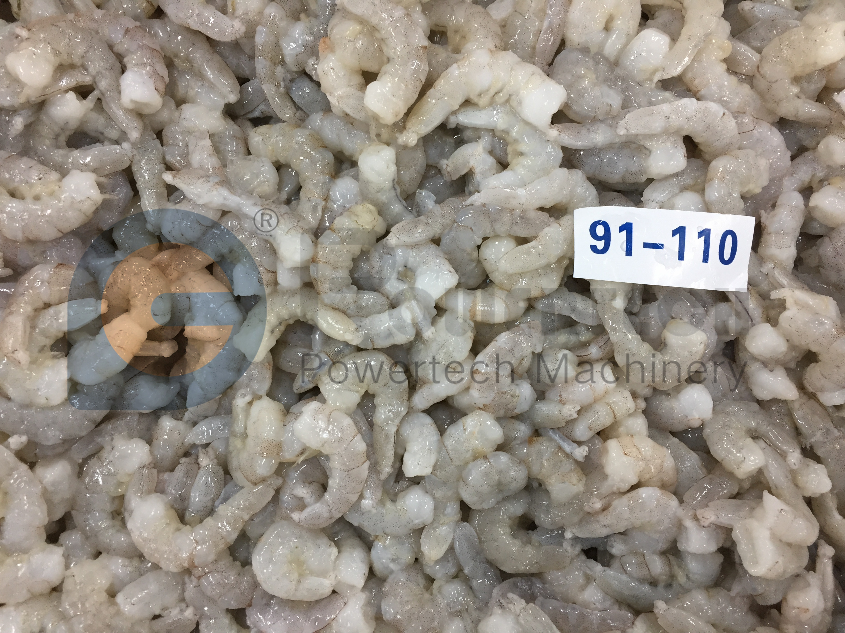 成堆虾仁 (14)_副本