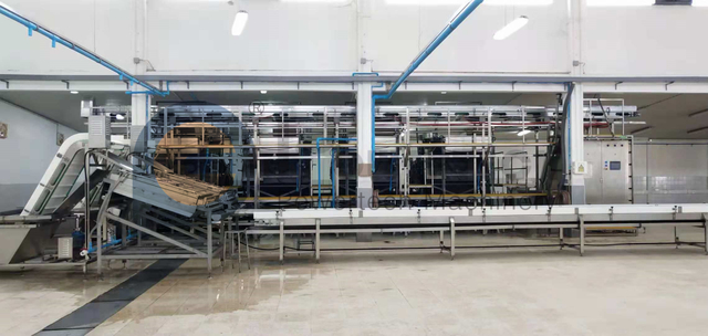 灵活的南美白 PUD 自动加工线