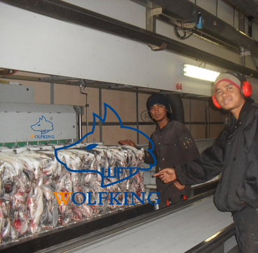 高效高盈利立式板式冷冻机