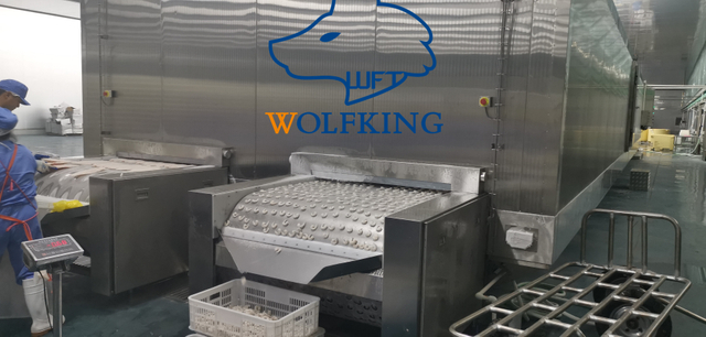 先进技术欧洲标准隧道冷冻机