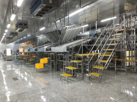 工业食品级自动虾去皮生产线