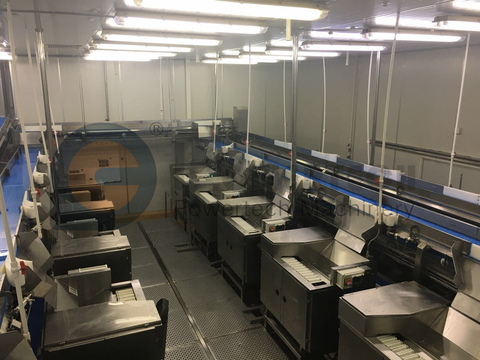 柔性自动南美白去纹加工线