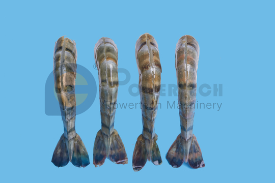 易切黑虎虾去皮剥线机